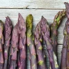 25 Purple Asparagus Roots – Heirloom Vegetable Bare Root Plant for Garden Growing – USDA Zones 3-8 - Image 1