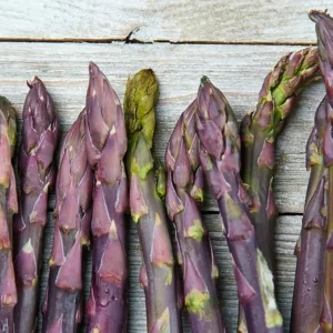 25 Purple Asparagus Roots – Heirloom Vegetable Bare Root Plant for Garden Growing – USDA Zones 3-8 - Image 6