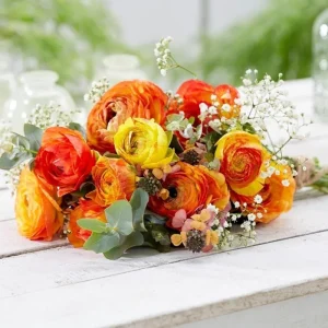 30 Ranunculus Bulbs - Multicolor Corms for Planting - Full Sun Flowers - Image 4