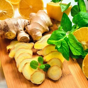 4 Chocolate Mint Plants Live - Culinary Herb for Indoor/Outdoor, Zones 3-11, 4-7