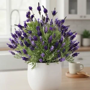 4 Lavender Live Starter Plants 4-6