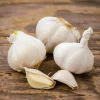 4 Music Garlic Bulbs for Planting - Hardneck Garlic for Home Garden - Image 1