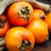 4-Pack Persimmon Trees Live, 1-2 Ft Tall Bare Roots, Cold Hardy Fruit Tree Seedlings - Image 1