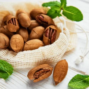 4 Pecan Trees Live Bare Root Plants – 1-2 Ft Tall Hardy Nut Trees for Outdoor Planting - Image 1