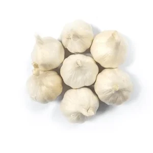 4 Polish Hardneck Garlic Bulbs for Planting - White Garlic Tubers - Image 6