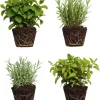 4 Random Live Herb Plants Collection - Well Rooted, Assorted Varieties - Image 1