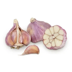 4 Red Russian Garlic Bulbs - Hardneck Garlic for Planting & Gardening - Image 5