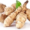 5 Large Jerusalem Artichoke Tubers for Planting - Fresh Sunchokes, Sunroots, Hardy Perennial - Image 1