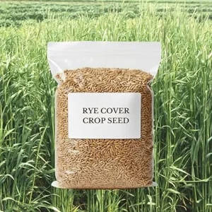 5 Lb Rye Cover Crop Seeds – Fast-Growing Grass Seed for Lawn & Garden, USDA Zones 3-10 - Image 5