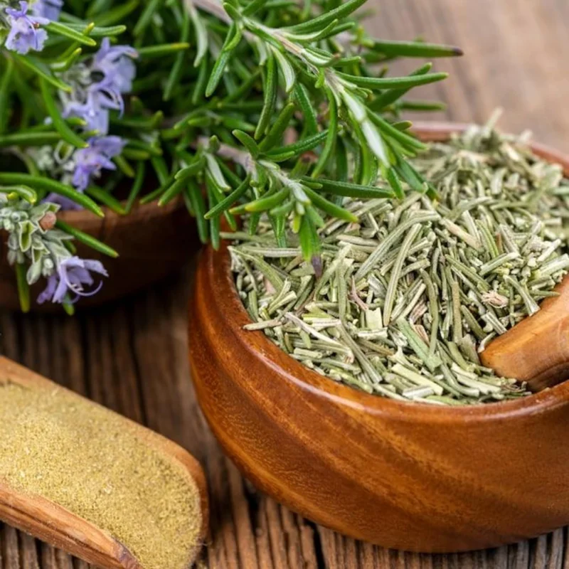 6 Blue Rosemary Live Plants 4-7'' Tall - Fragrant Outdoor Herb - Image 4