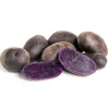 70 Purple Potato Seeds for Planting - Easy Growing Sweet Potato Seeds - Image 1