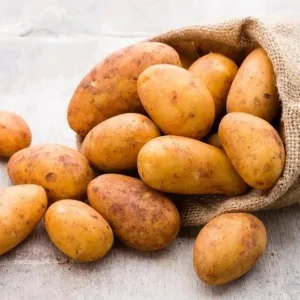 70 Russet Potato Seeds for Planting - Heirloom Vegetable Seeds, USDA 3-10 - Image 2