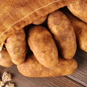 70 Russet Potato Seeds for Planting - Heirloom Vegetable Seeds, USDA 3-10 - Image 1