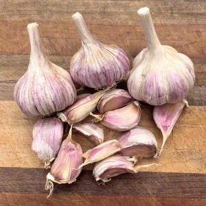 8 Mixed Hardneck Garlic Bulbs for Planting - White, Red, Purple - Image 8