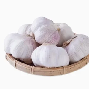 8 Polish Hardneck Garlic Bulbs for Planting & Gardening, White Garlic Tubers - Image 2