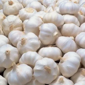 8 Polish Hardneck Garlic Bulbs for Planting & Gardening, White Garlic Tubers - Image 1