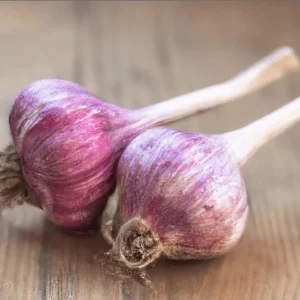 8 Red Russian Hardneck Garlic Bulbs for Planting – Garden Ready - Image 5