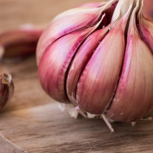 Chesnok Red Garlic Bulbs for Planting, Heirloom, 0.5 Pound (4-5 Jumbo Bulbs)