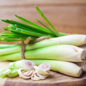 10 Lemongrass Live Plants 5-9" Tall - Fragrant Culinary Herb for Outdoor Planting