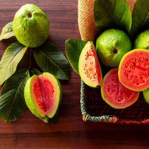 Ruby Guava Live Plant - Grafted Fruit Tree 4 Ft Tall - Zones 9-11 - Tropical