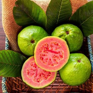 Ruby Guava Tree Live Plant - 3 to 4 Feet Tall, Hardy Tropical Fruit