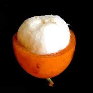 Achachairu Garcinia Humilis Grafting Cuttings – 1/4 inch thick, 6-8 inches long - Image 8