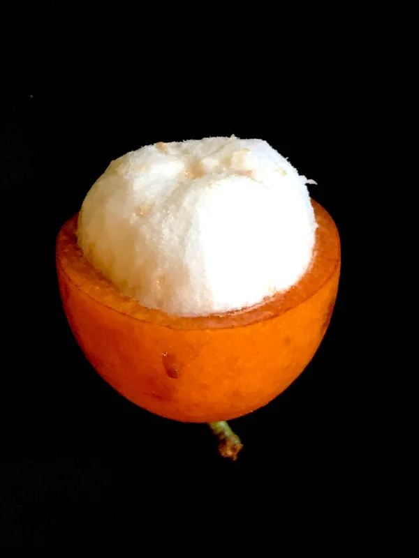 Achachairu Garcinia Humilis Live Plant – Tropical Fruit Tree Starter – 4-8 inches tall in 2.5 inch pot - Image 8