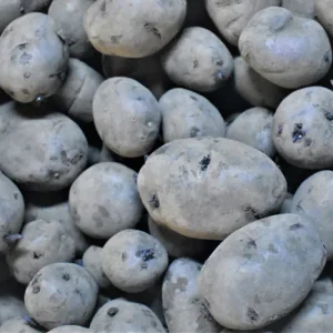 Adirondack Blue Seed Potatoes - Certified Non-GMO Heirloom Tubers 1-10 Lbs - Image 2