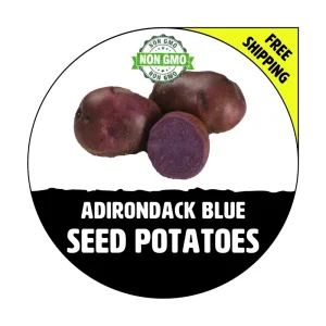 Adirondack Blue Seed Potatoes - Certified Non-GMO Heirloom Tubers 1-10 Lbs - Image 1