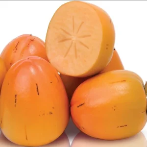 American Persimmon Live Tree Plant, Diospyros Virginiana, 9-12 Inch Tall Starter Tree for Outdoor - Image 6