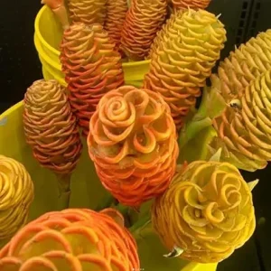 Awapuhi Shampoo Ginger Live Plant – 5-9