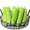 Bitter Melon Seeds for Planting - 10 Seeds, Long Bitter Gourd - Image 1