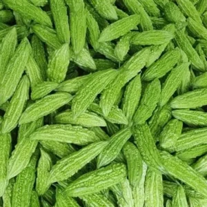 Bitter Melon Seeds for Planting - 10 Seeds, Long Bitter Gourd - Image 3