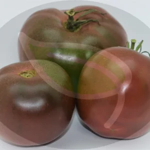 Black Brandywine Tomato Seeds - 30+ Non-GMO Heirloom Vegetable Seeds - Image 2