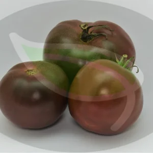Black Brandywine Tomato Seeds - 30+ Non-GMO Heirloom Vegetable Seeds - Image 3