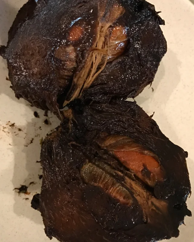 Black Sapote (Diospyros Nigra) Chocolate Pudding Fruit Tree Seedling - 4-7" Live Plant in 2.5" Pot - Image 4