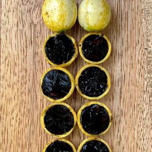 Blackberry Jam Fruit Randia Formosa Live Plant, Tropical Tree, 1-3 inches tall, 2.5'' Pot - Image 8