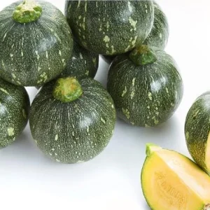 Butternut Squash Seeds - 10 Seeds for Planting Edible Gourd - Image 3