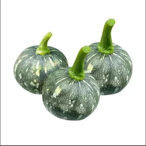 Butternut Squash Seeds - 10 Seeds for Planting Edible Gourd - Image 4