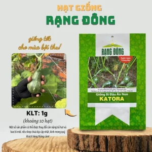 Butternut Squash Seeds - 10 Seeds for Planting Edible Gourd - Image 5