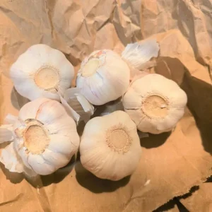 Chesnok Red Garlic Bulbs for Planting, Heirloom, 0.5 Pound (4-5 Jumbo Bulbs) - Image 7