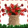 Christmas Cactus Live Plant Red, 4 Inch Pot, Indoor/Outdoor Holiday Cactus - Image 1