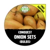 Conquest Yellow Onion Sets - Non-GMO Seed Onions - 50, 100, 250, 400 Bulbs - Image 1