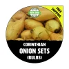 Corinthian Yellow Onion Sets - Non-GMO Seed Onions for Planting - Image 1