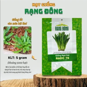 Culantro Seeds for Planting - 5000 Seeds, Eryngium foetidum, Herb Seeds - Image 6