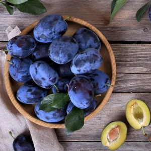 Dark Purple Plum Tree - Hardy Bare Root Fruit Tree for Planting, 6-15 Inch Tall, Outdoor - Image 5