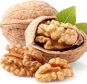 Dormant Pecan Tree Bare Roots - 2 Pack, 1-2 ft Tall, Cold Hardy Seedlings - Image 2