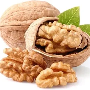 Dormant Pecan Tree Bare Roots - 2 Pack, 1-2 ft Tall, Cold Hardy Seedlings - Image 4