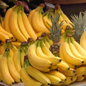 Dwarf Cavendish Banana Plant Live - Musa Tree for Indoor/Outdoor, Cold Hardy, 4-7