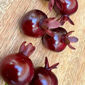 Dwarf Grumichama Live Plant - Eugenia itaguehiensis Cherry Tree Starter - 5-7 inch tall - Image 5